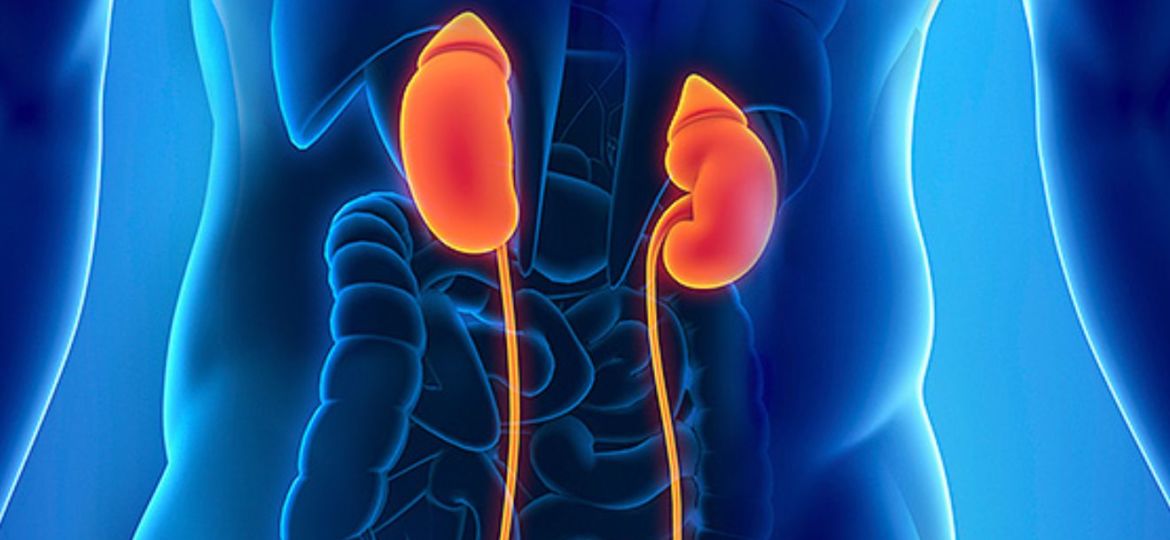 kidney-disease